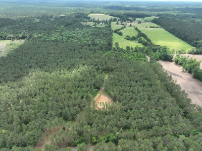16‑Acre Homesite & Recreational Tract East of Linden, TX - image 18