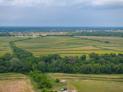 Rice & Crawfish Farm in South Louisiana -  Hunting and Recreation - image 10