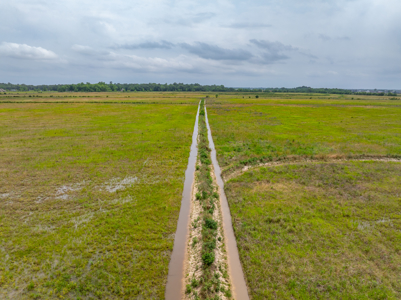 Rice & Crawfish Farm in South Louisiana -  Hunting and Recreation - image 4