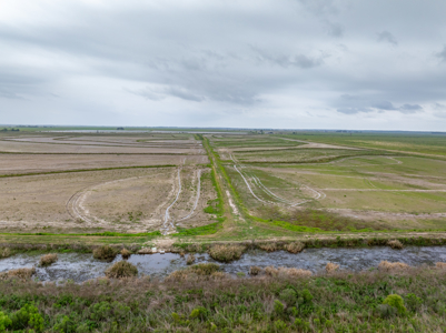 Duck Hunting  and  Rice and Crawfish Farm - Welsh, LA - image 13