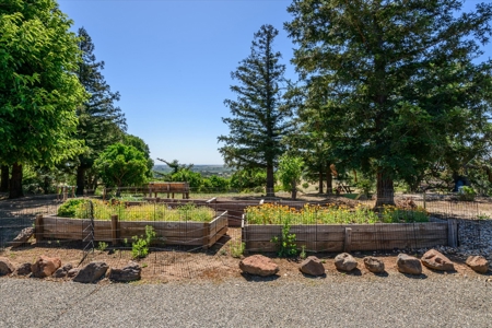 Private 20 Acres with 2 Homes for Sale in Winters, California - image 32