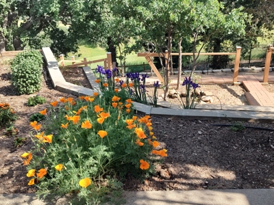 Private 20 Acres with 2 Homes for Sale in Winters, California - image 43