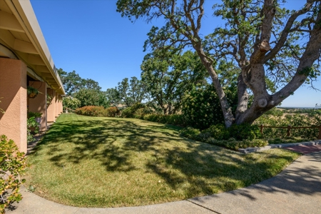 Private 20 Acres with 2 Homes for Sale in Winters, California - image 6