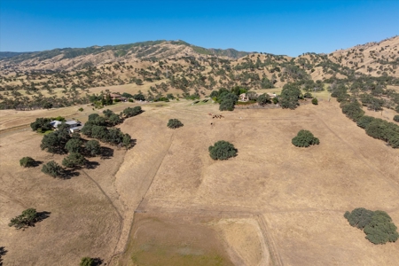 Private 20 Acres with 2 Homes for Sale in Winters, California - image 7
