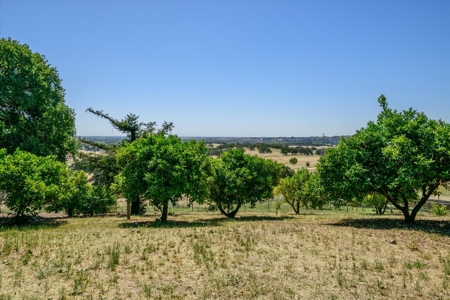Private 20 Acres with 2 Homes for Sale in Winters, California - image 33