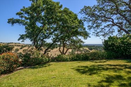 Private 20 Acres with 2 Homes for Sale in Winters, California - image 5