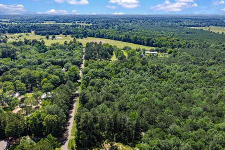 East TX Timber & Hunting Tract for Sale DeBerry TX Panola County - image 29