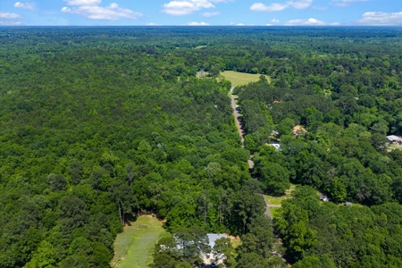 East TX Timber & Hunting Tract for Sale DeBerry TX Panola County - image 31