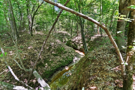 East TX Timber & Hunting Tract for Sale DeBerry TX Panola County - image 14