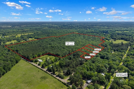 East TX Timber & Hunting Tract for Sale DeBerry TX Panola County - image 33