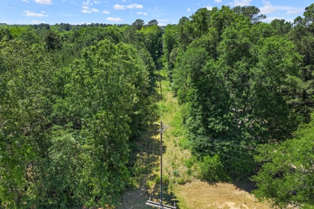 East TX Timber & Hunting Tract for Sale DeBerry TX Panola County - image 25