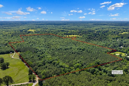 East TX Timber & Hunting Tract for Sale DeBerry TX Panola County - image 3