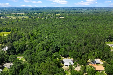East TX Timber & Hunting Tract for Sale DeBerry TX Panola County - image 32