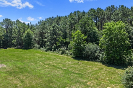 East TX Timber & Hunting Tract for Sale DeBerry TX Panola County - image 26