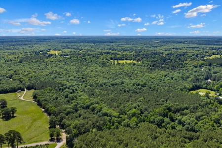 East TX Timber & Hunting Tract for Sale DeBerry TX Panola County - image 2
