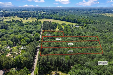 East TX Timber & Hunting Tract for Sale DeBerry TX Panola County - image 30