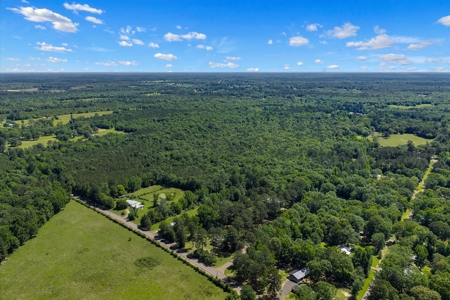 East TX Timber & Hunting Tract for Sale DeBerry TX Panola County - image 1