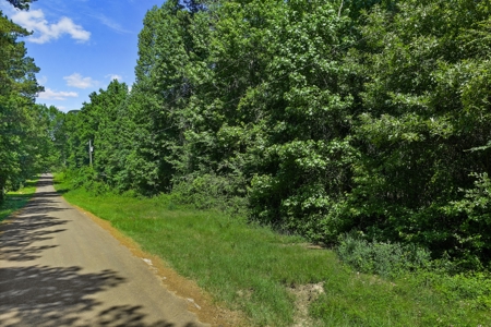 East TX Timber & Hunting Tract for Sale DeBerry TX Panola County - image 34