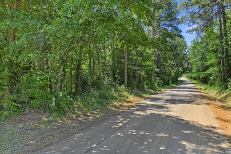 East TX Timber & Hunting Tract for Sale DeBerry TX Panola County - image 27