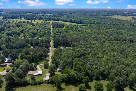 East TX Timber & Hunting Tract for Sale DeBerry TX Panola County - image 28