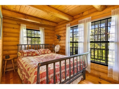 Year-Round Lake Home or Lake Cabin on Sand Lake with Acreage! - image 16