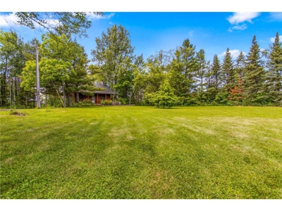 Year-Round Lake Home or Lake Cabin on Sand Lake with Acreage! - image 3