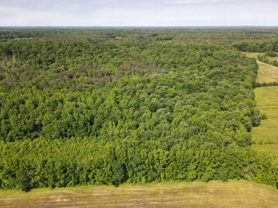 Land For Sale In Tn, Homesite, Hunting, Field, Timber, Creek - image 43