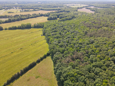 Land For Sale In Tn, Homesite, Hunting, Field, Timber, Creek - image 41