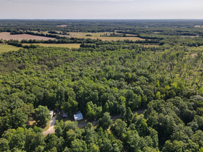 Land For Sale In Tn, Homesite, Hunting, Field, Timber, Creek - image 39