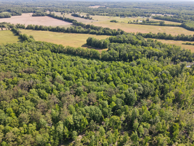 Land For Sale In Tn, Homesite, Hunting, Field, Timber, Creek - image 40