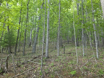 Listing 78
