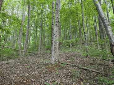 Listing 78