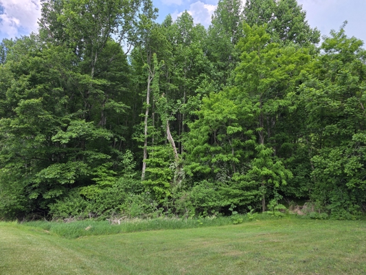 Wooded Land for Sale in Hillcrest Estates Subdivision