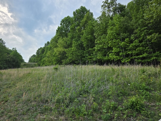 Wooded Land for Sale in Hillcrest Estates Subdivision