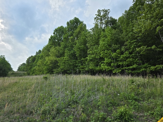 Wooded Land for Sale in Hillcrest Estates Subdivision
