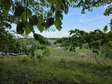 Listing 78