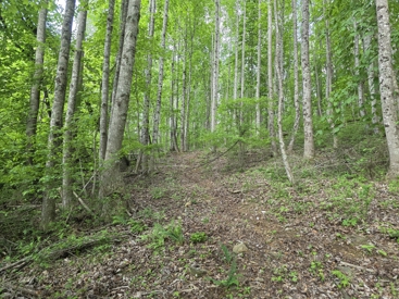 Listing 78