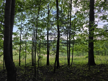 Listing 78
