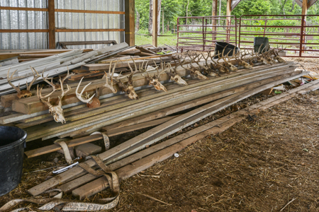 Land For Sale EL Dorado Springs, Cedar County, MO - image 38