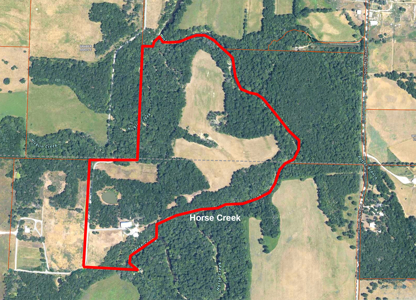 Land For Sale EL Dorado Springs, Cedar County, MO - image 43