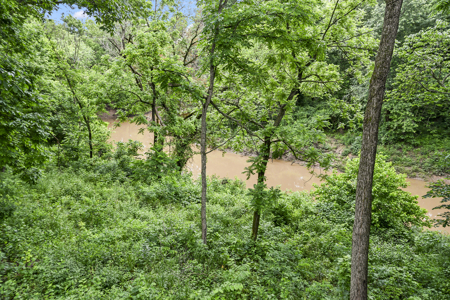 Land For Sale EL Dorado Springs, Cedar County, MO - image 5
