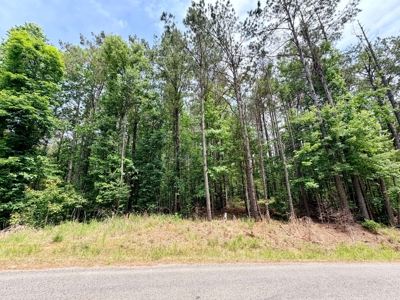 Land For Sale Near Bay Springs Lake Prentiss County, MS - image 9