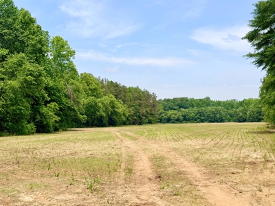 Row Crop, Hunting, Creek For Sale Prentiss County, Mississippi - image 11