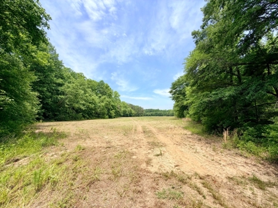 Row Crop, Hunting, Creek For Sale Prentiss County, Mississippi - image 12