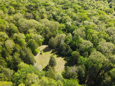 Hunting Recreational Land For Sale Fannin County Texas Cabin Shop - image 12