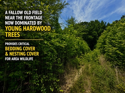 Hunting Land with Homesite and Creek Prentiss Co., Mississippi - image 5
