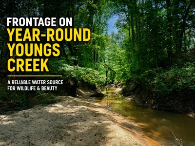 Hunting Land with Homesite and Creek Prentiss Co., Mississippi - image 1