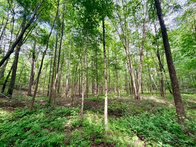 Large Acreage with a Lake and Good Hunting Prentiss Co., MS - image 18
