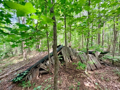 Large Acreage with a Lake and Good Hunting Prentiss Co., MS - image 2