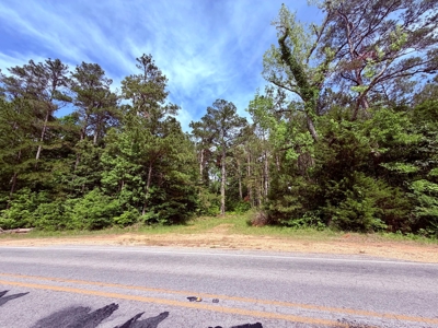 Large Acreage with a Lake and Good Hunting Prentiss Co., MS - image 32